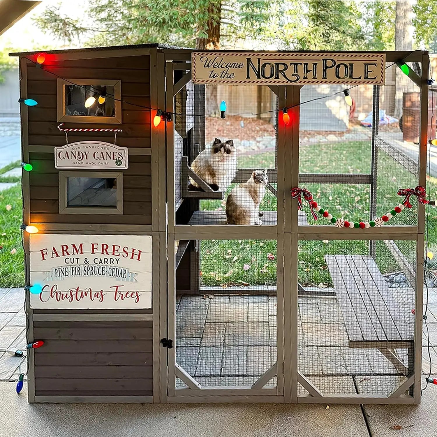 77" L Wooden Cat Enclosure