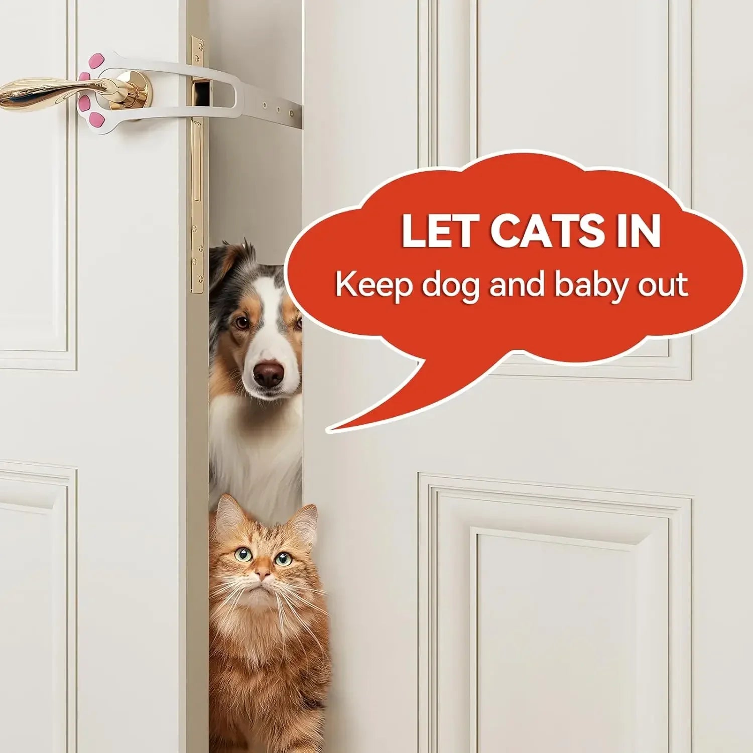 Cat/Dog Door Holder Latch