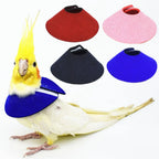 Bird Accessories Anti-bite
