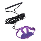 Bird Harness/Leash Training