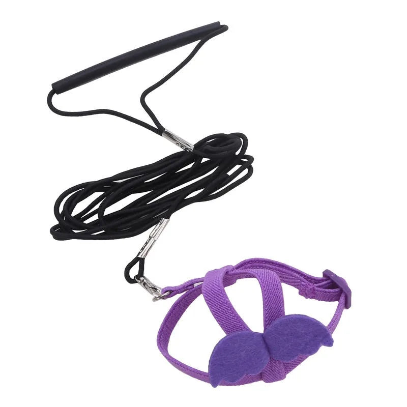 Bird Harness/Leash Training