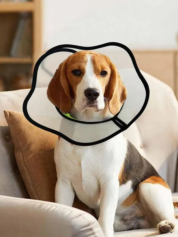 Pet Recovery Dog Cones