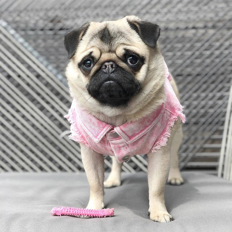 Dog Jeans Jacket Denim