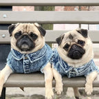 Dog Jeans Jacket Denim