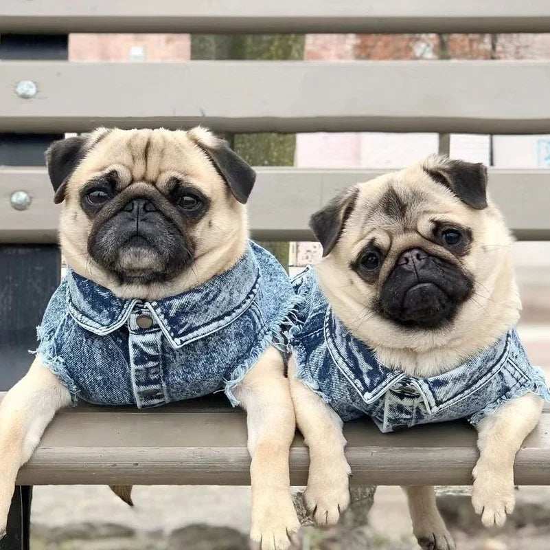 Dog Jeans Jacket Denim