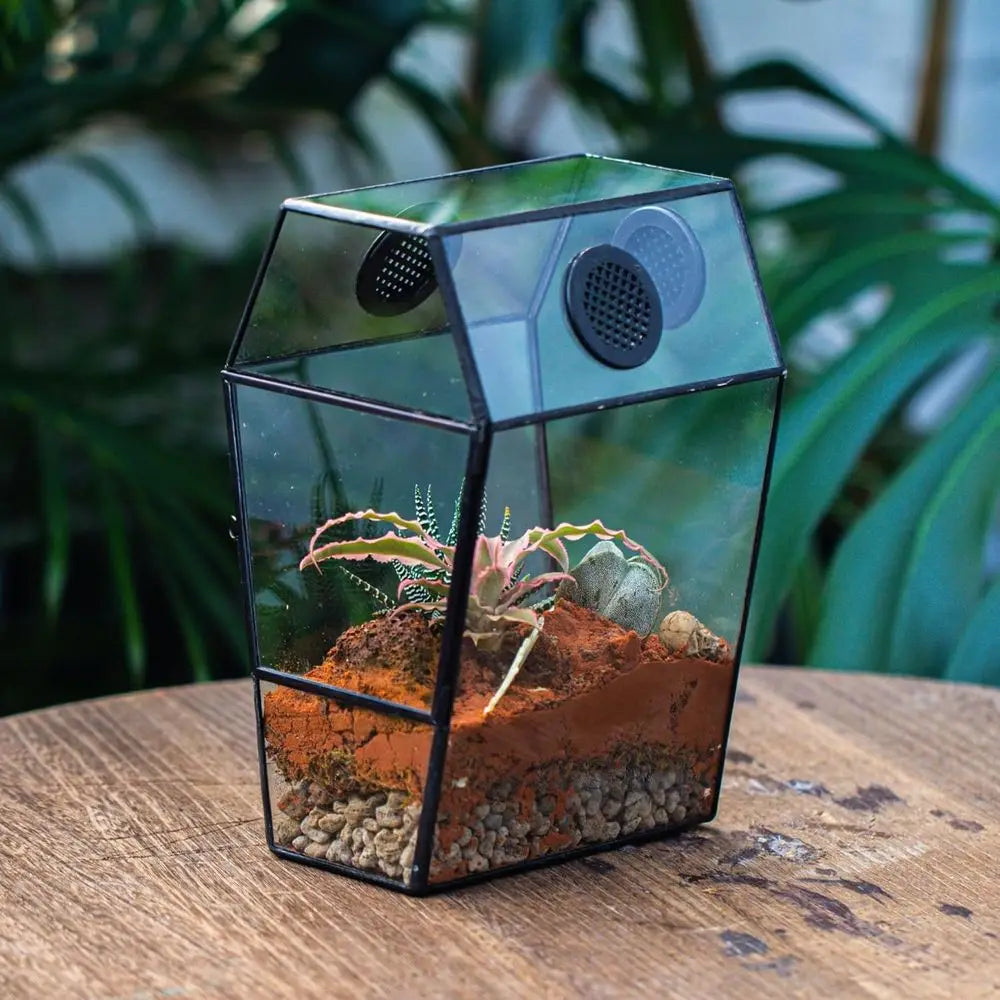 Glass Enclosure for Jumping Spiders