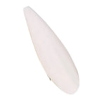 Cuttlefish Bone Chewing Toys