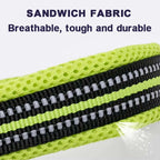 Dog Walking Collar with Buckle