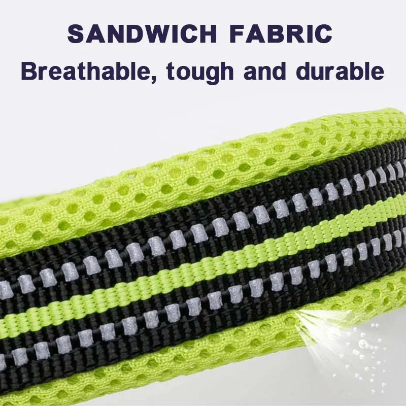Dog Walking Collar with Buckle