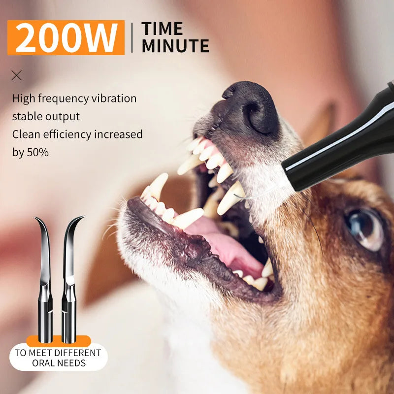 Ultrasonic Electric Dog Toothbrush