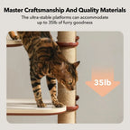 Infinity Cat Tree Tower