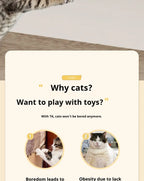 Automatic Lifting Cat Toy Ball