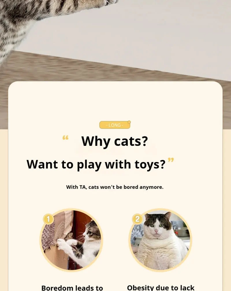 Automatic Lifting Cat Toy Ball