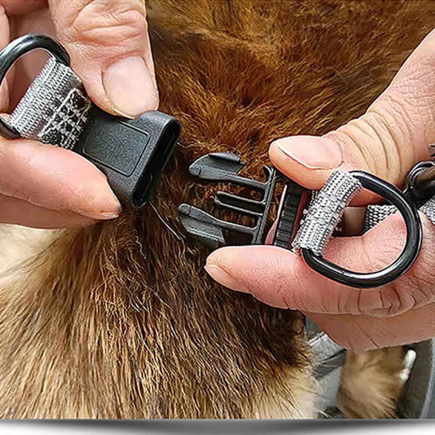 Adjustable Dog Y Harness S/M/L