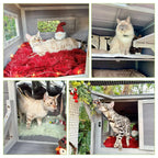 77" L Wooden Cat Enclosure
