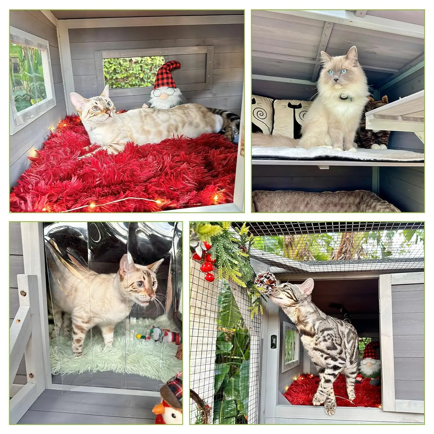 77" L Wooden Cat Enclosure
