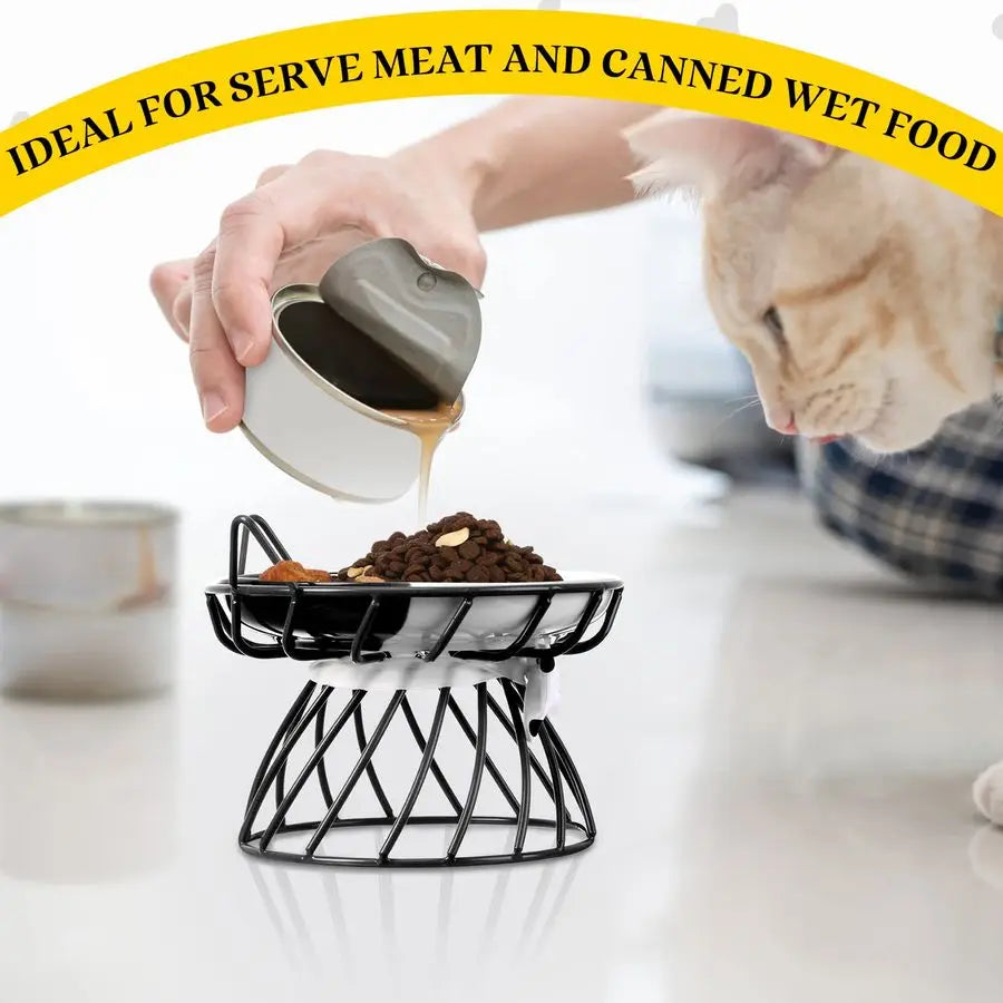 Cat/Dog Feeder