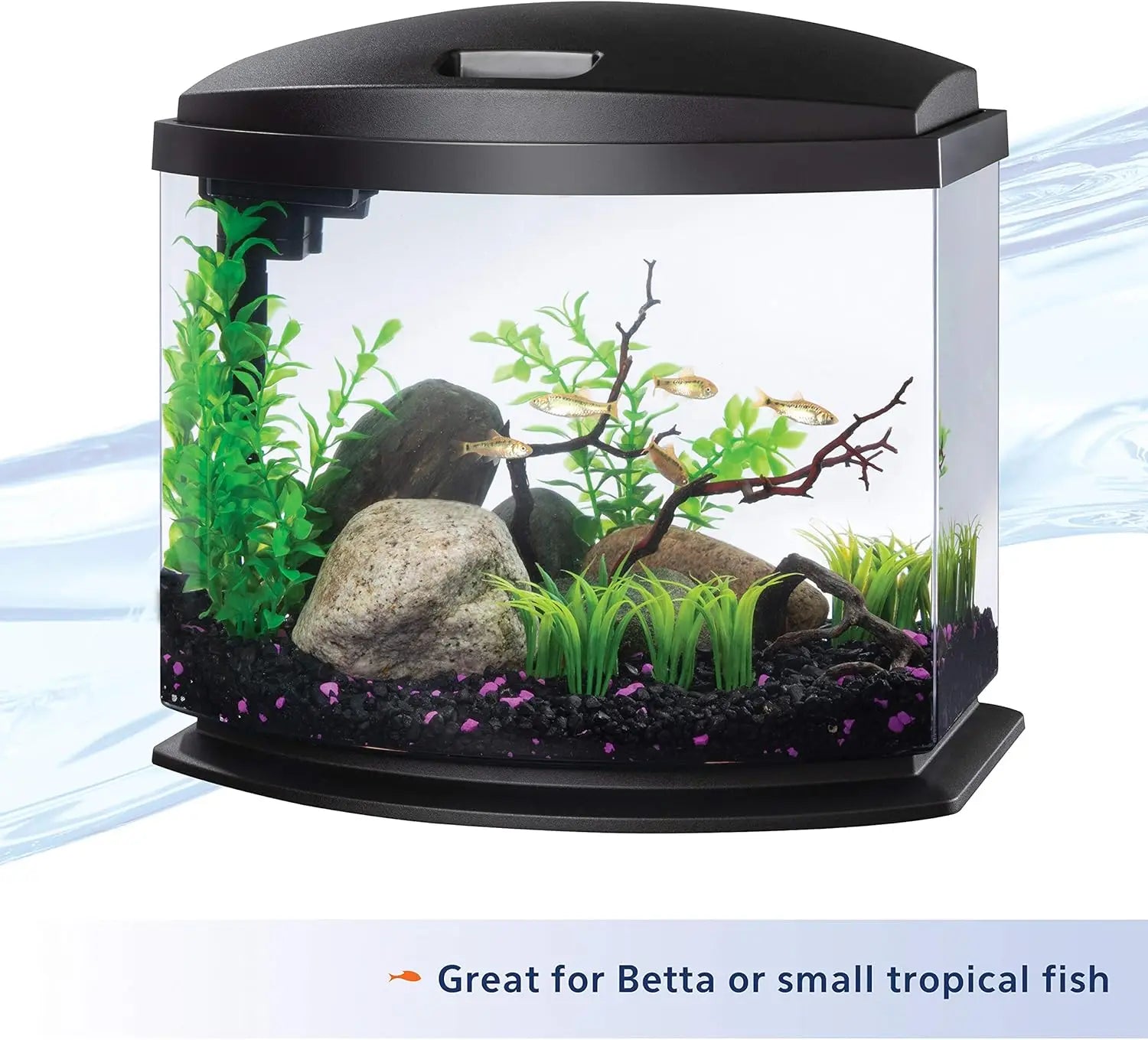 5 Gal. LED Mini Aquarium Fish Tank Kit