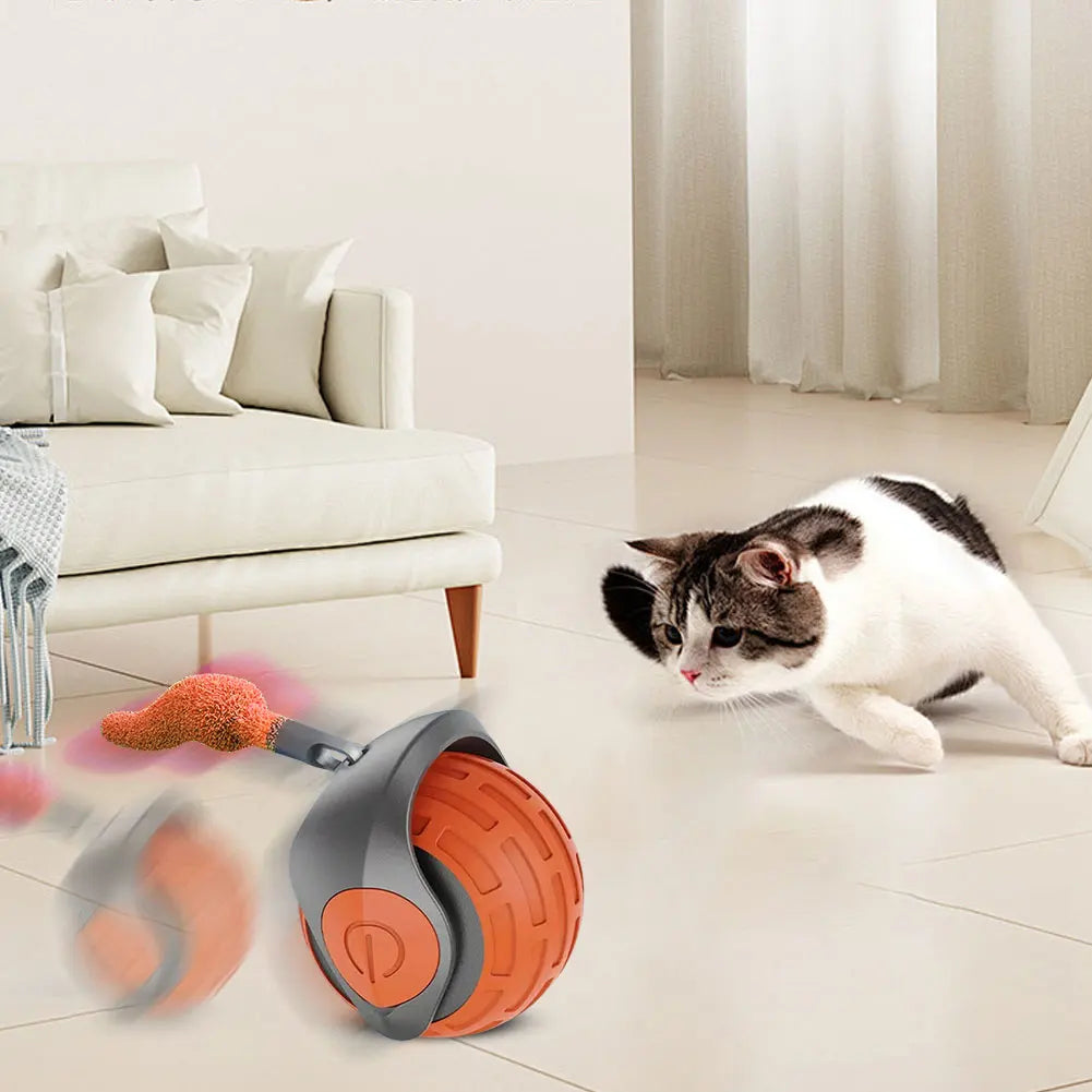 Cat Interactive Ball Toys