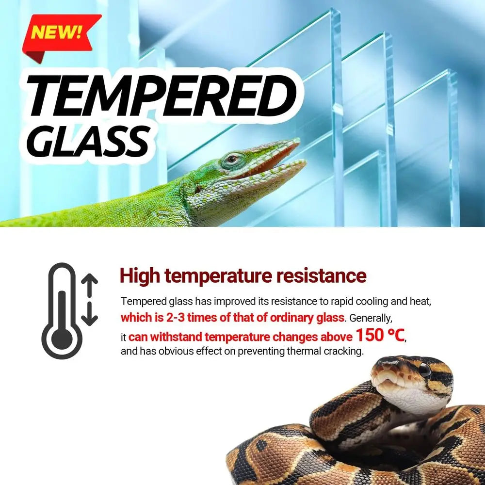 Glass Extra-Long Terrarium