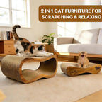 Cat Scratcher