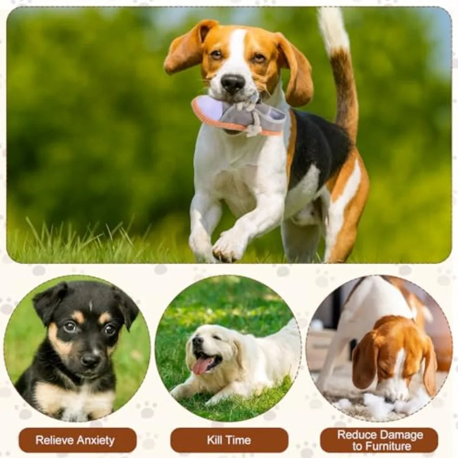 5 Pack Dog Chew Toys