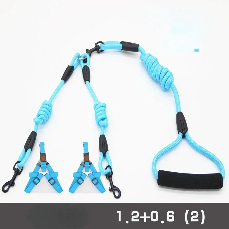 Leashes for 2 smaller Dogs