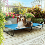 Folding Raised Dog Bed