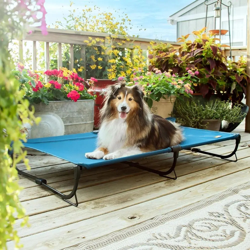 Folding Raised Dog Bed