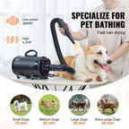 Dog Blow Dryer