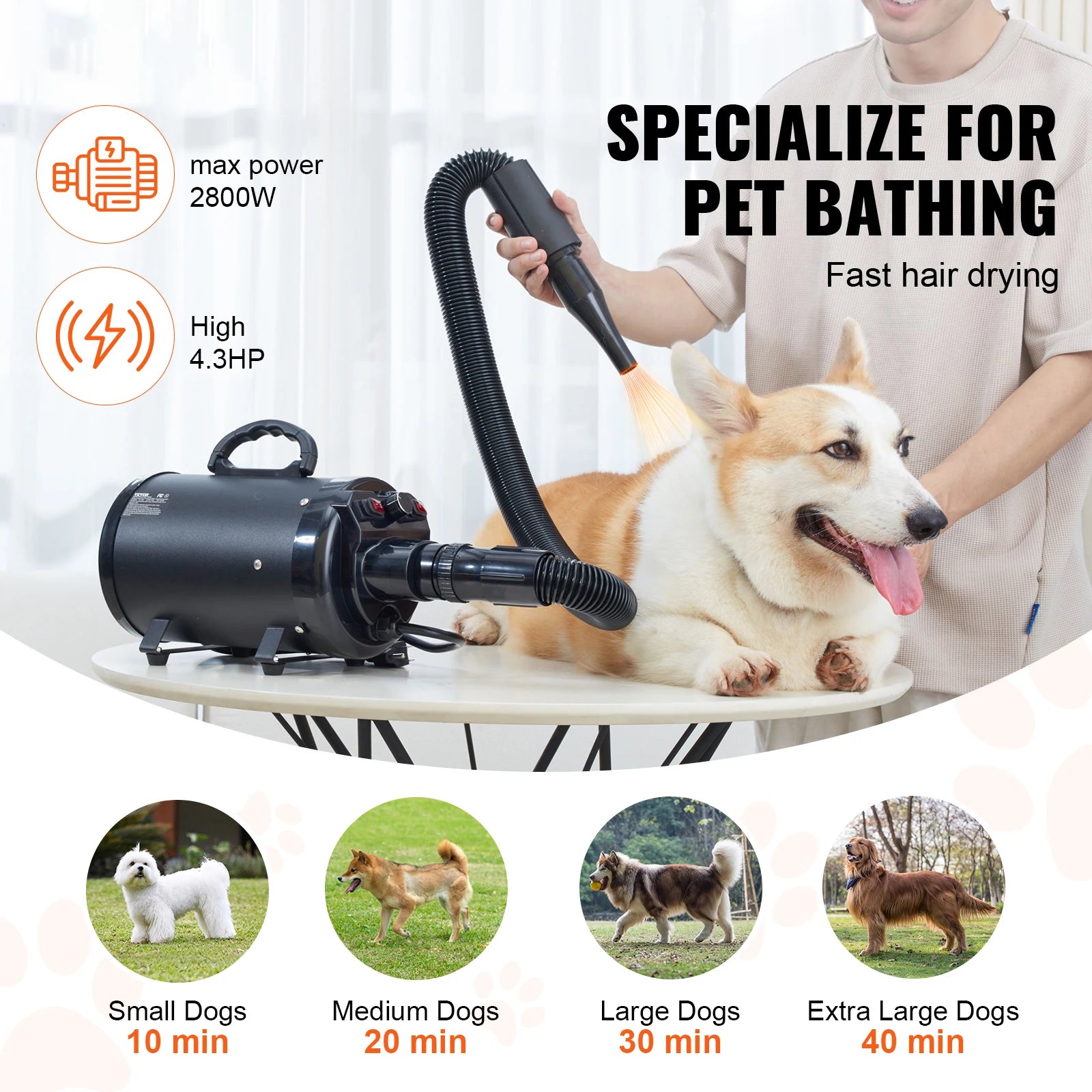 Dog Blow Dryer