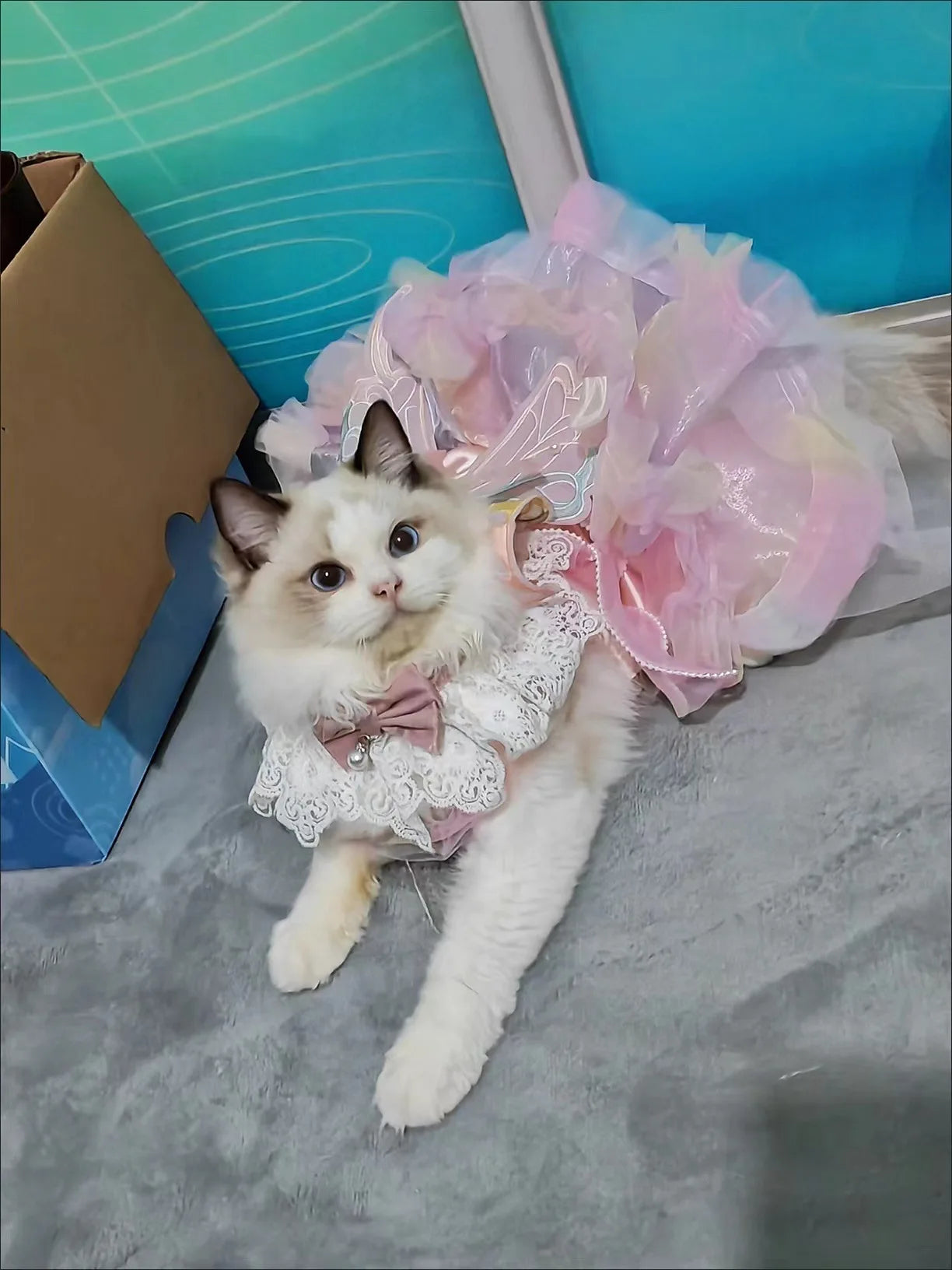 Dog/Cat spring princess Dress