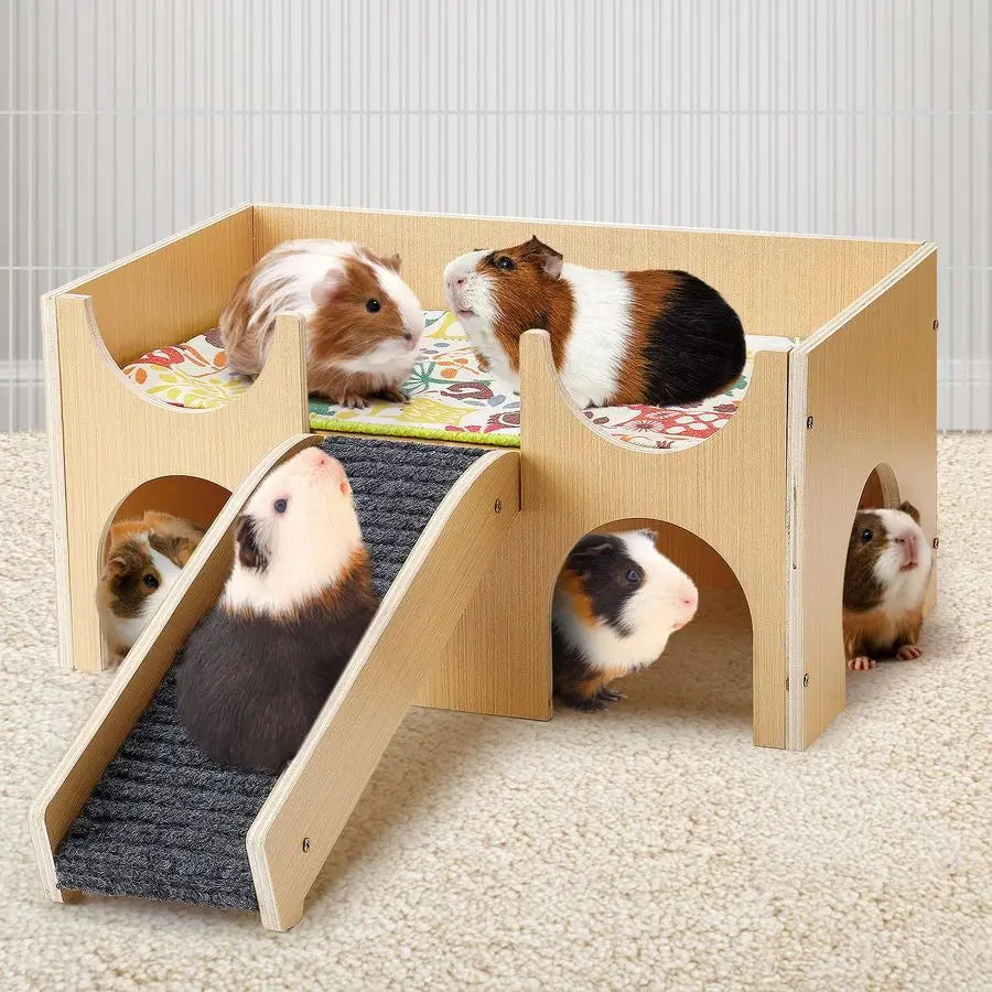 Guinea Pig Castle