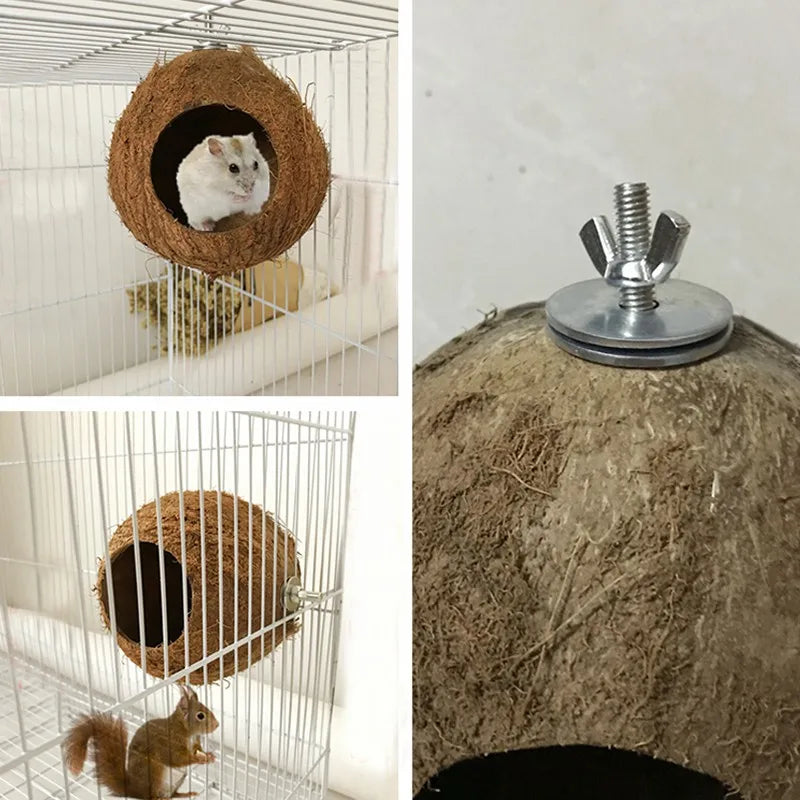 Hideaway Birds/Reptile