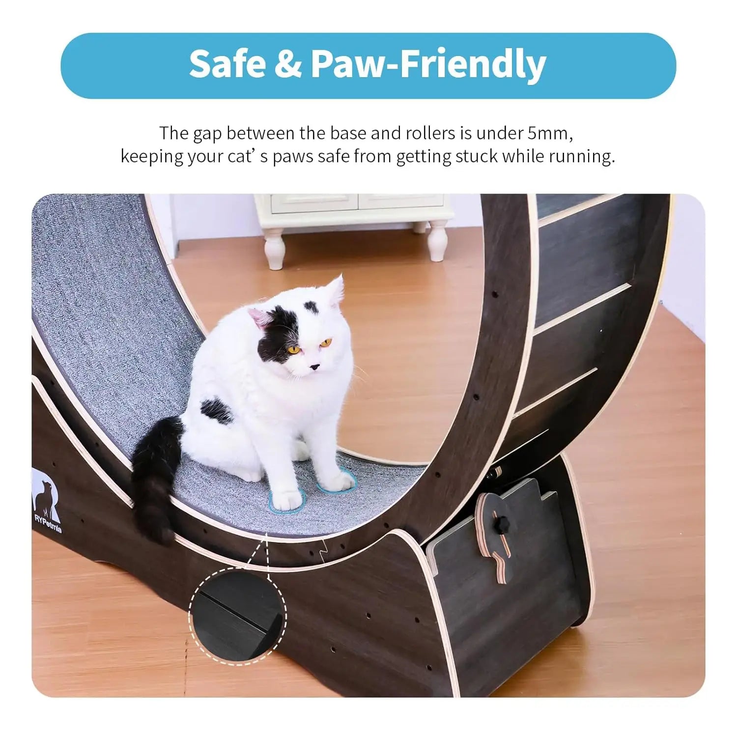 Large Cat Exercise Wheel