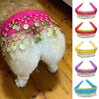 Corgi Belly Dance Belt Skirt