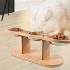 Raised Cat Feeder