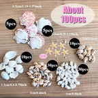 Conch Shell Mix Set Fish Tank