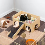 Guinea Pig Castle