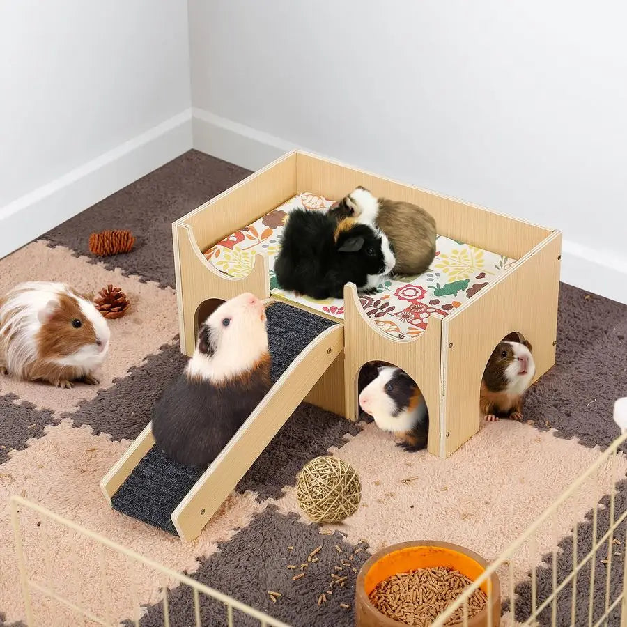 Guinea Pig Castle