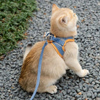Cat Harness Leash Set