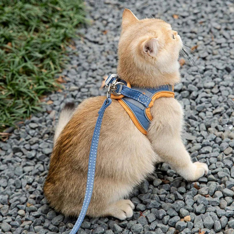 Cat Harness Leash Set