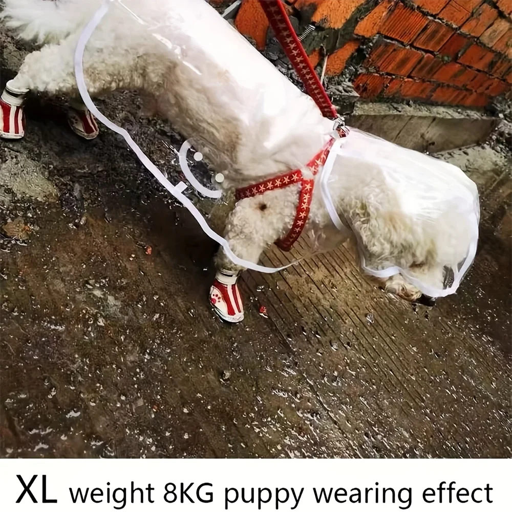 Transparent Raincoat