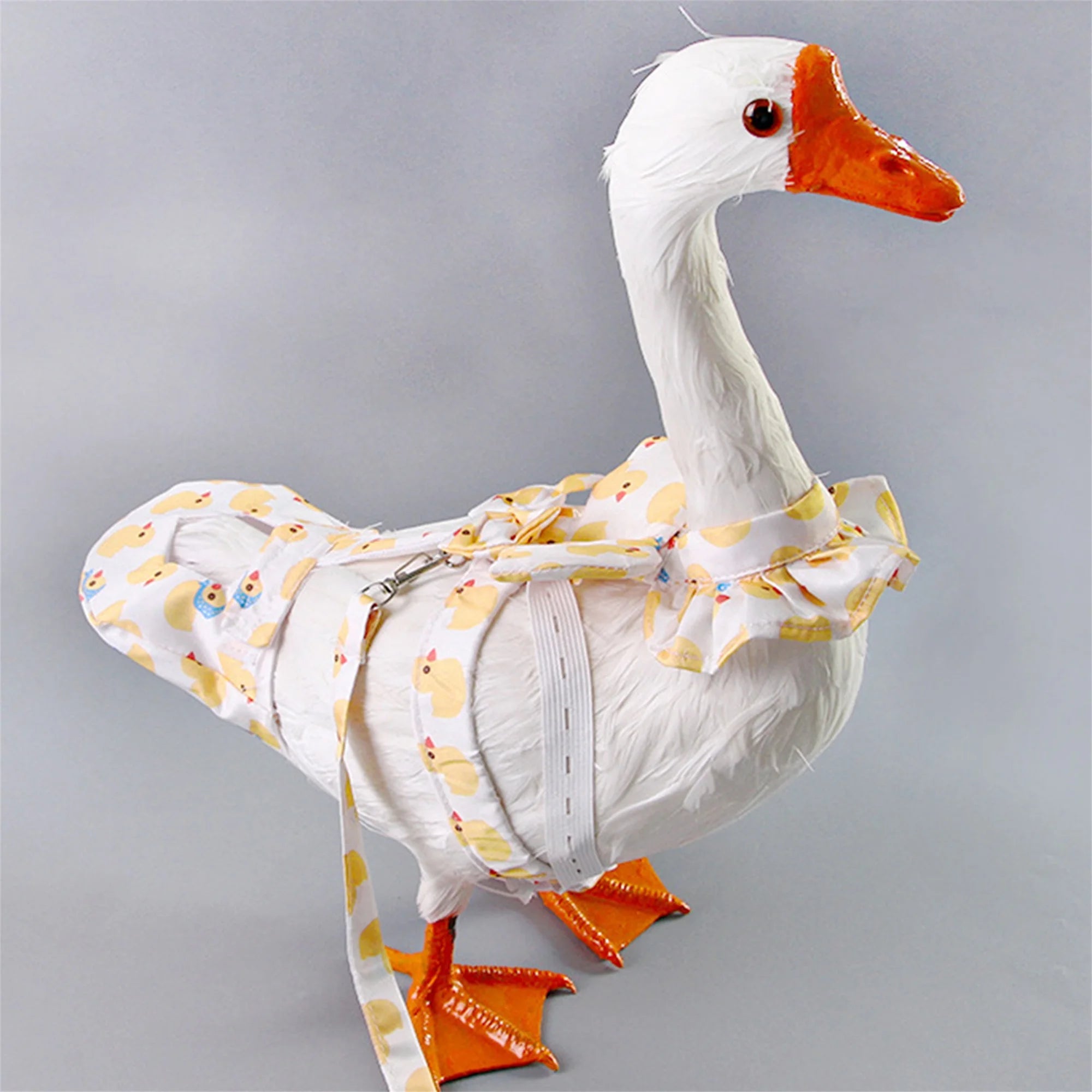 Goose Chicken Duck Harness