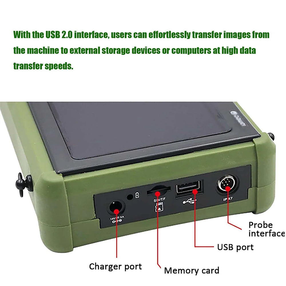 Portable Veterinary Ultrasound Scanner