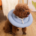 Elizabeth Dog/Cat Collar
