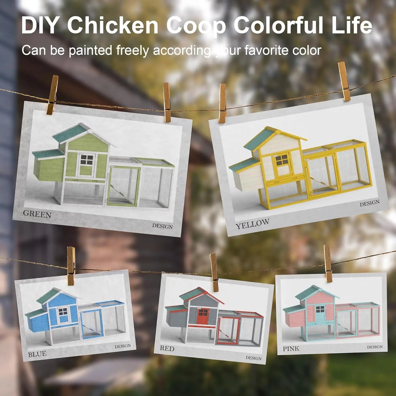 Chicken Coop/2-4 Chickens