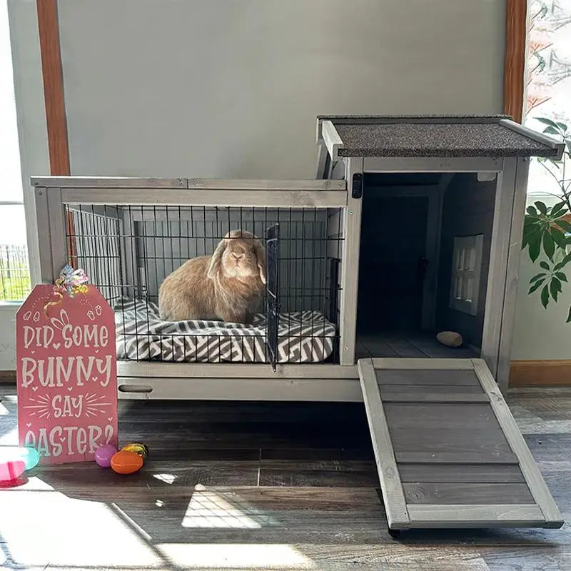 Rabbit Hutch | Bunny Cage