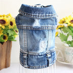 Denim Dog Clothes