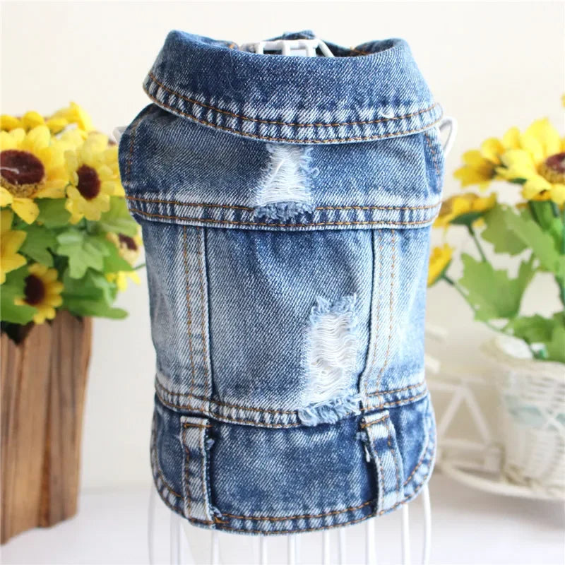 Denim Dog Clothes